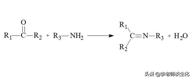 氨基酸的化学反应