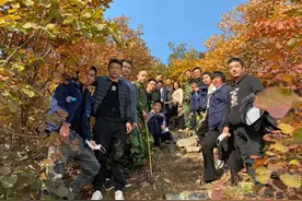 邢台金沙河速度，16天三个展厅拔地而起图片