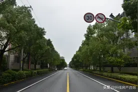 浦江镇，为什么突然这么火？图片