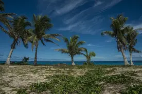 中国影响力太强，美国担心第二岛链会名存实亡，抹黑“一带一路”图片