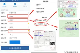我为群众办实事丨新车自助选号攻略 看这里！图片