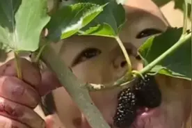 笑话三则！工人用泡沫板做防晒帽，戴上；网友，好像行走的荷包蛋图片