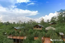 打卡“高黎贡山茶博园”，是这个十一最美的记忆图片