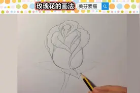 玫瑰花素描画法！素描无论画什么东西，我们都是从先概括开始！图片