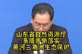 牢记嘱托 奋力前进｜落实黄河三角洲生态保护 东方白鹳全球最大繁殖地是这样炼成的图片