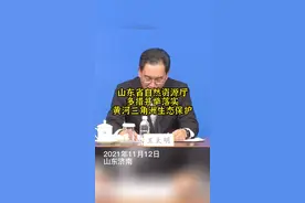 牢记嘱托 奋力前进｜落实黄河三角洲生态保护 东方白鹳全球最大繁殖地是这样炼成的图片