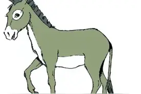 畜生聚会，聊人类 （内涵太深）图片