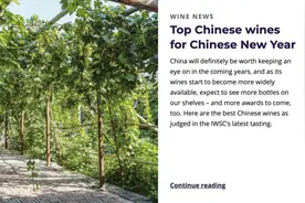 IWSC发布“5款最佳中国葡萄酒”，3款来自张裕图片