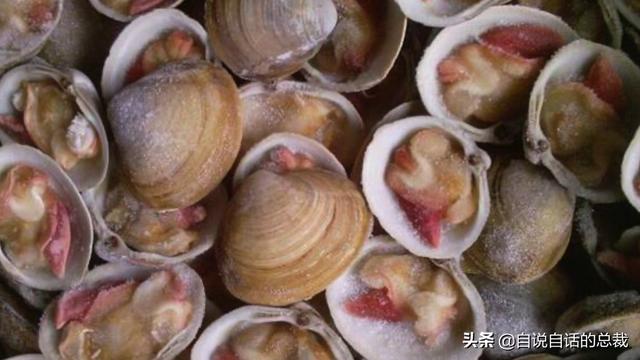 蛤、蚶、蛏、蚝、蚬有什么区别？这是一群美味海怪与人类的故事