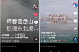 珲春“路虎”被全球热议 亿万播放量过后 珲春森警迅速跟进保安全图片