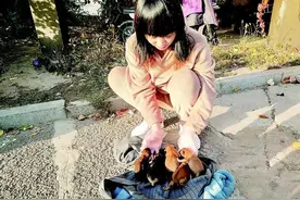 力所能及帮助被遗弃的狗狗，省城爱犬人士呼吁：可以不爱但别伤害图片