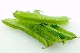 这种叫四棱豆的菜，你知道怎么做好吃吗？图片