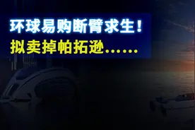 跨境通断臂求生！卖掉帕拓逊，环球易购何去何从？图片