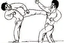 实战 | 救命绝杀腿（20式杀招）图片