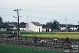 改革开放前南方农村一基层生产队集体经济收支状况记述图片