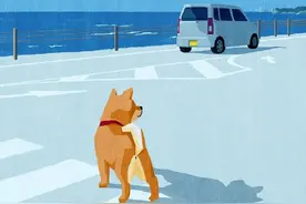 一位插画师画笔下萌萌的“柴犬”图片