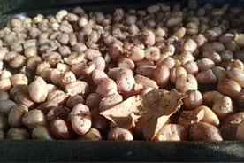 DIY美味烤花生图片