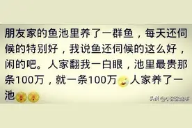 说说你见过哪些看似普通，其实贵到离谱的东西图片