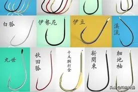 选钩的策略，如何才能正确选择合适的鱼钩?各种鱼钩的优劣分析！图片
