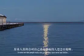 别看现在这么多单身狗，他们都在等回不来的人图片