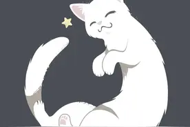 那只在无数梗图中出现的长条猫去世了图片