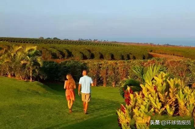夏威夷州：离美国本土有3700公里，它为何成了美国的领土？