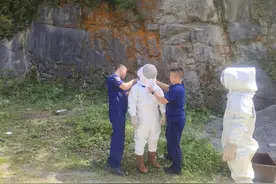 马蜂窝频繁扰民 消防员“上门”排忧解难图片