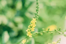 当你爱的人爱上了别人，就这样做吧图片