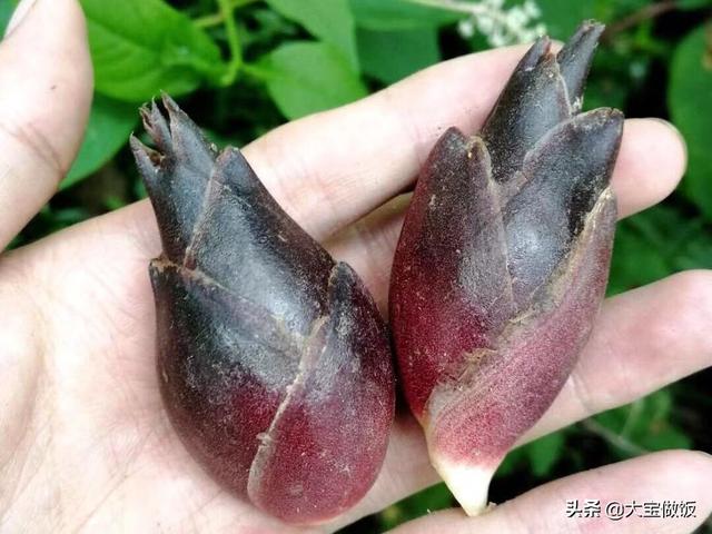 它在农村是个宝，在城市却鲜少见到，秋食正当令，和辣椒炒最味美