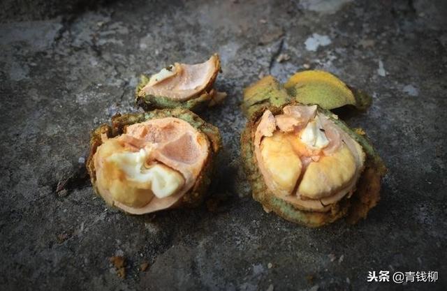 湖南山核桃研究进展