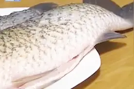 专家解惑：鱼里面的鱼黑衣、鱼胆能不能吃？吃了又有什么危害？视频封面