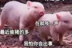 “今天沙雕男友惹你生气了吗？”看完直男毫无求生欲的回答 哭了图片