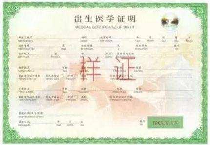 临沂这个家长太糊涂！买假出生证明落户被拘