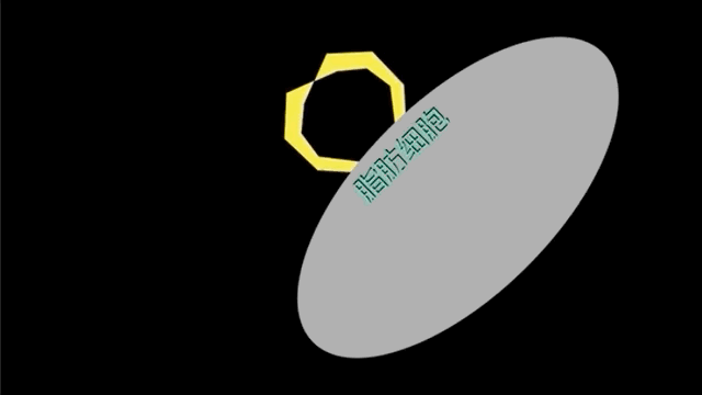 糖：最甜蜜的杀手，成瘾性极强？我们为什么无法戒糖…