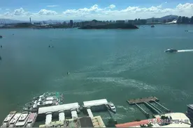 白糖和橡胶分析图片