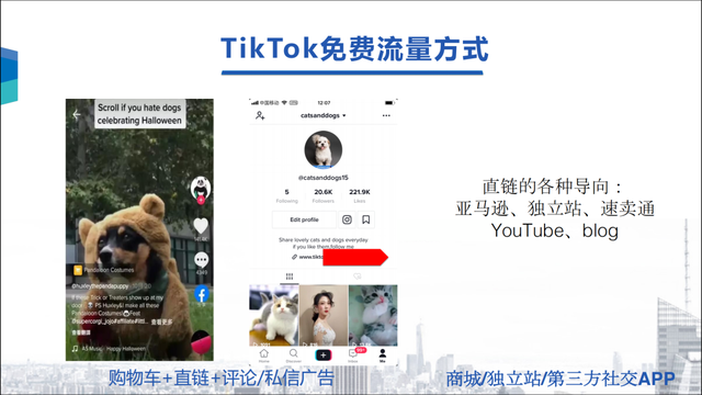 为什么TikTok是两年前的抖音？