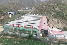 白银区依法依规拆除违建“大棚房”图片