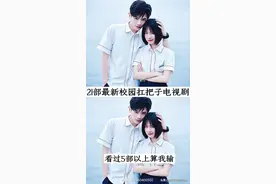 21部最新校园扛把子电视剧图片