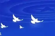 李少白：中华少年 ‖ 儿童主播：戚佑杭图片