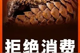 非法出售穿山甲夫妻双双获刑！养殖基地竟搜出一屋冻体穿山甲！图片