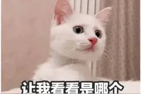 表情包：让我看看 哪个头发多的在熬夜图片