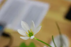 有房有车有钱，相亲依然被拒，35岁大龄剩女的现状警醒无数女人图片