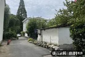 杭州烧伤女孩一家，住在出租平房打拼，“喜欢跳舞，嘴巴很甜”，14岁哥哥：“妹妹肯定很疼很疼”图片
