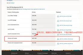2020 最新版jdk & eclipse下载安装 之JDK（一）图片