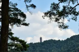 南岳山上种“假树”？避雷效果“逮得好”！图片