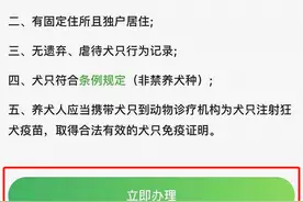 尽快办理！长春《养犬证》办理指南来啦图片