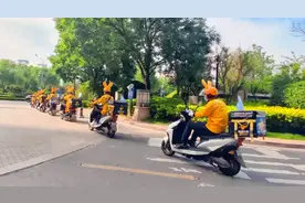 这队黄色小耳朵，你偶遇了吗？图片