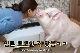 妹子的宠物猪跟狗狗一样聪明，为了它们主人特意搬到郊区图片