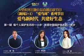 绿色中国|新闻2+1：爱鸟新时代 共建好生态图片