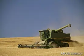 美国小麦、玉米、大米价格比我国便宜一半还多，农民凭啥都是富翁图片
